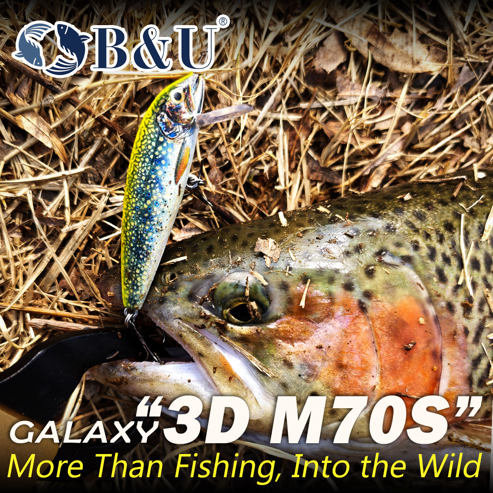 B&U Sinking Minnow Fishing Lur - Fishing Hook Treble review and price