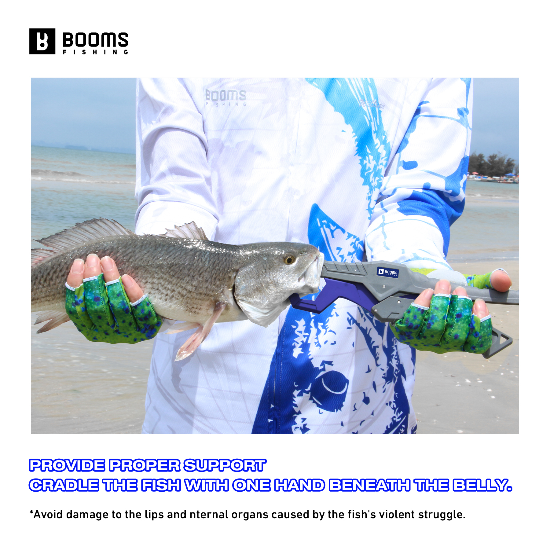 Booms Fishing 23cm Pliers and  - Fishing Hook Sharpener review and price